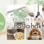 犬の手作り発酵ごはん-haga hakkou life-