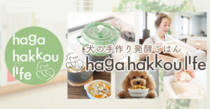 犬の手作り発酵ごはん-haga hakkou life-